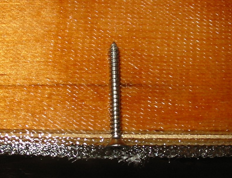 One of the screws used as a sheer-key.
