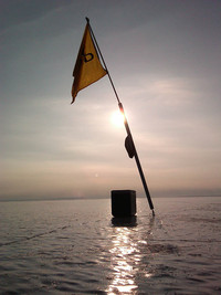 Sun setting on the regatta Friday...